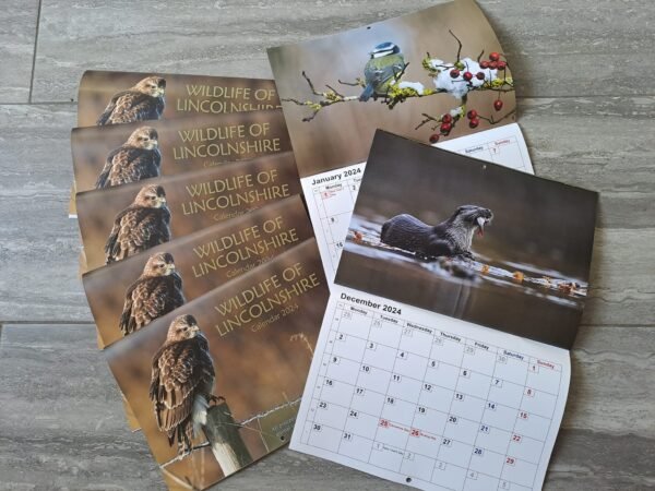 2024 Wildlife Calendar