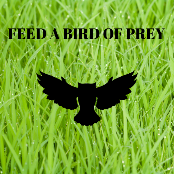 Bird of Prey Meal Ticket