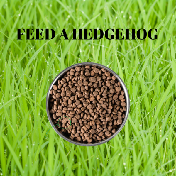 Hedgehog Meal Ticket