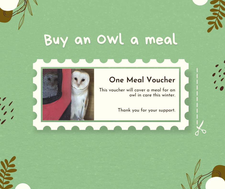 Owl Meal Voucher