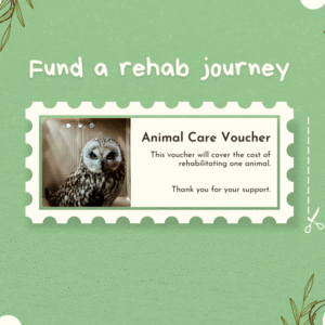 Animal Care Voucher