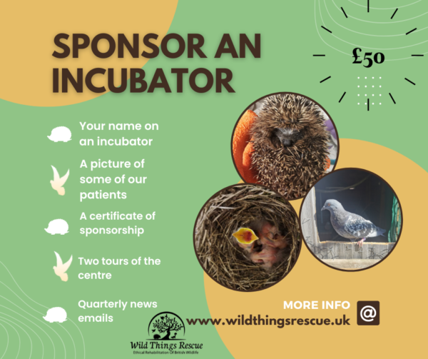 Sponsor an Incubator