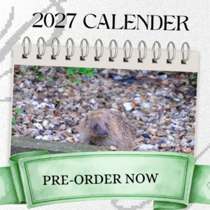 2027 Calender