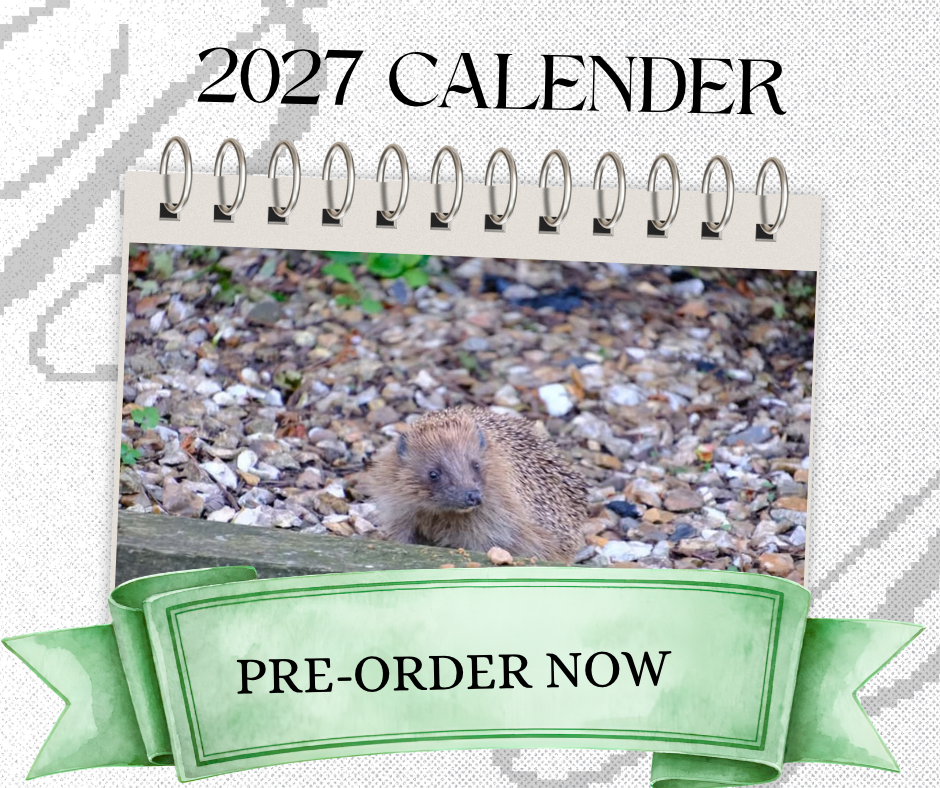 2027 Calender